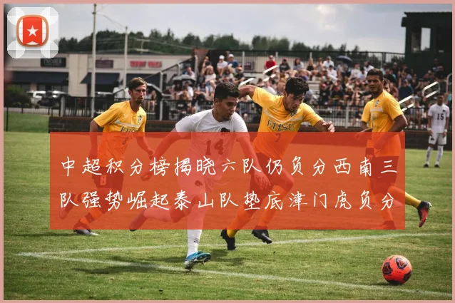 中超积分榜揭晓六队仍负分西南三队强势崛起泰山队垫底津门虎负分严重