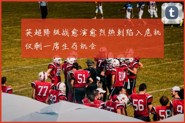 英超降级战愈演愈烈热刺陷入危机仅剩一席生存机会