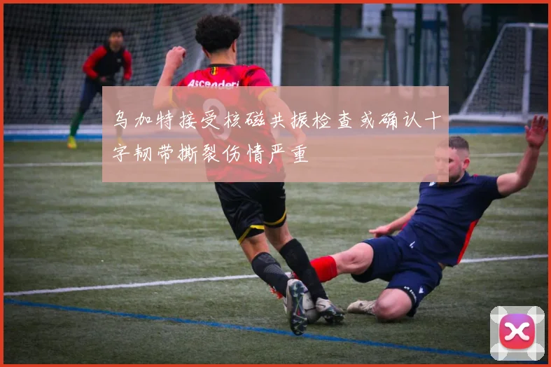 乌加特接受核磁共振检查或确认十字韧带撕裂伤情严重